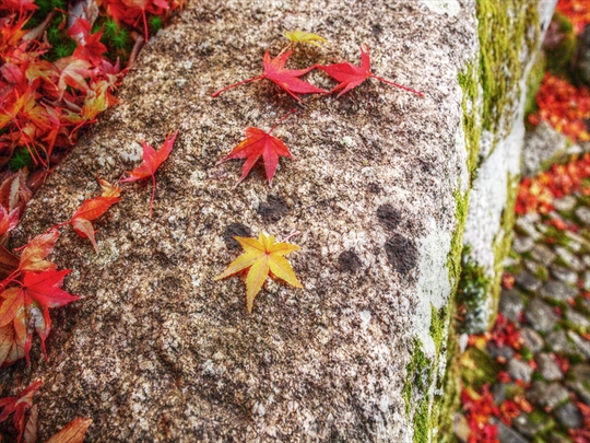 c0146510_22252228.jpg