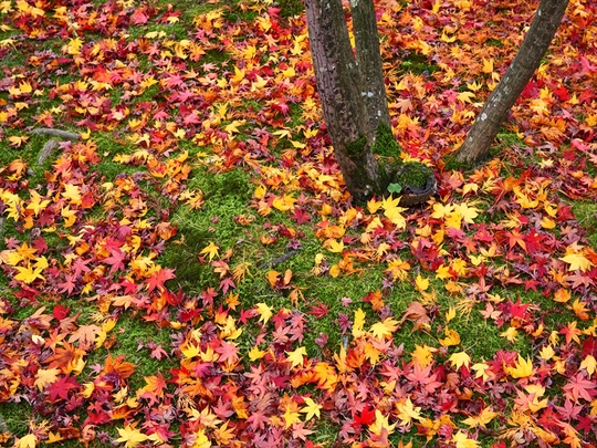 c0146510_222761.jpg