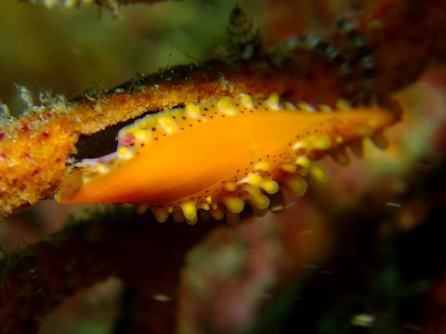d0175710_10471436.jpg