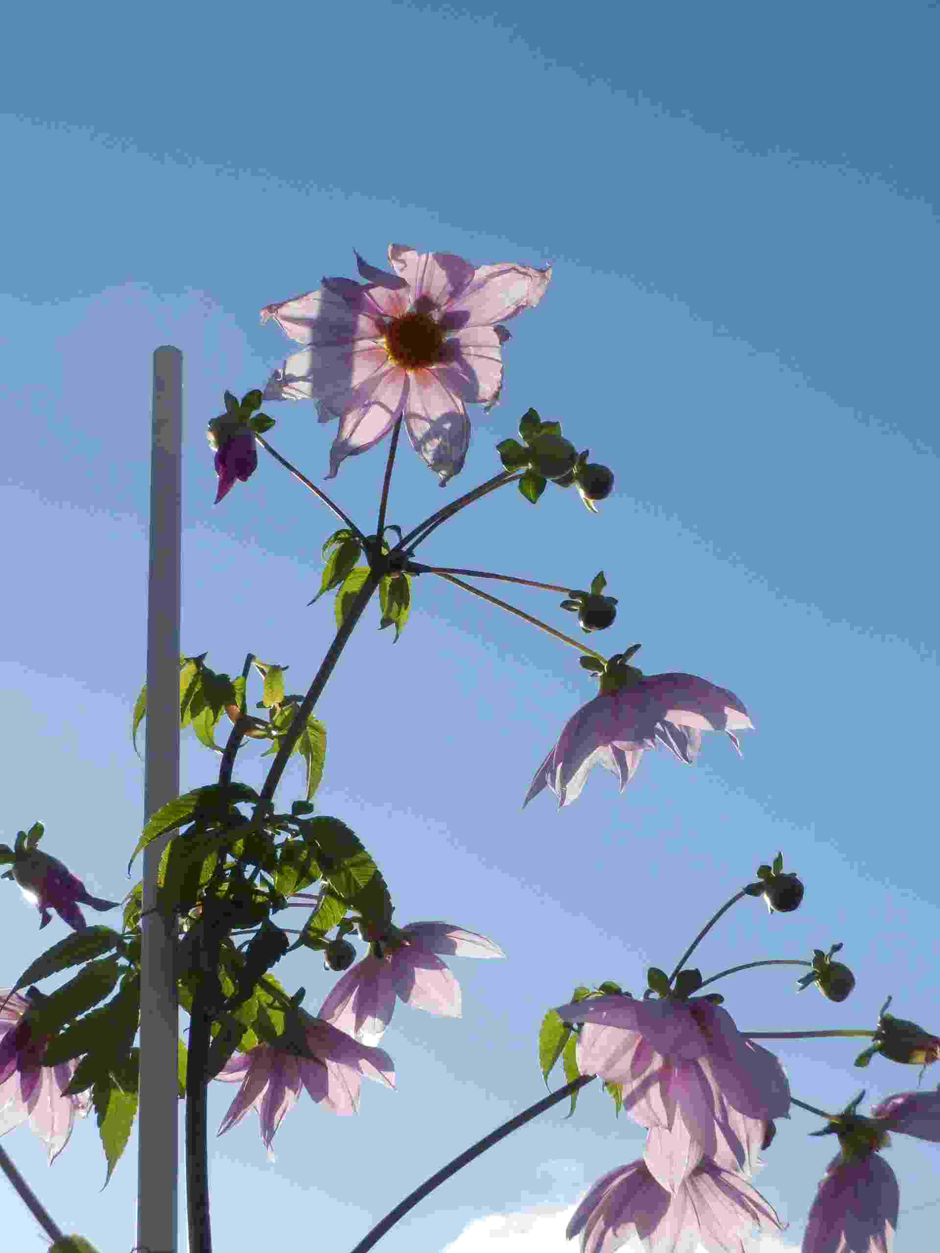 c0062511_73241.jpg