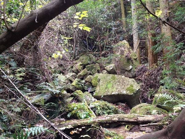 e0002314_21122013.jpg