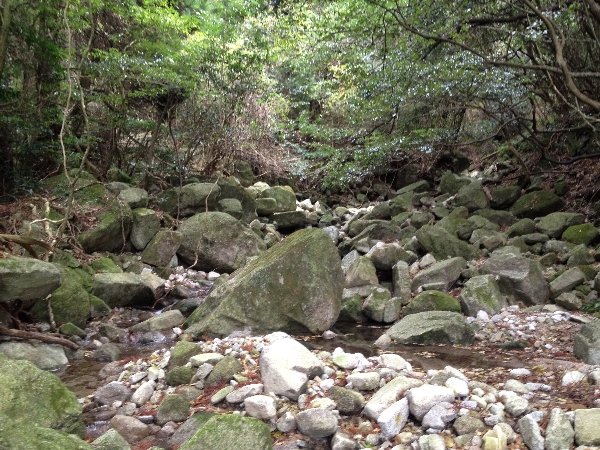 e0002314_2115242.jpg