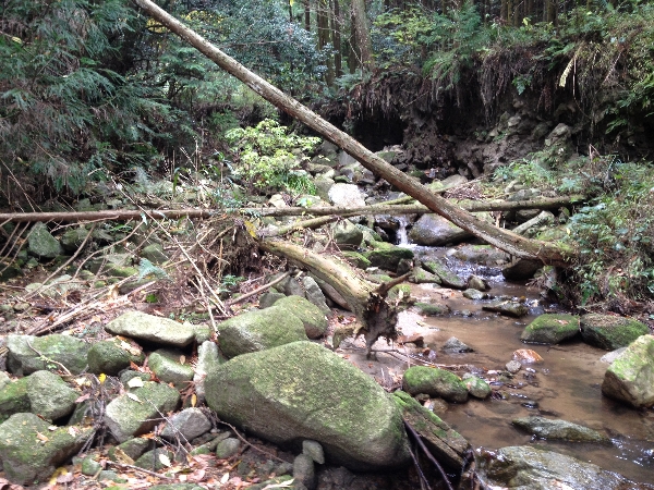 e0002314_212998.jpg