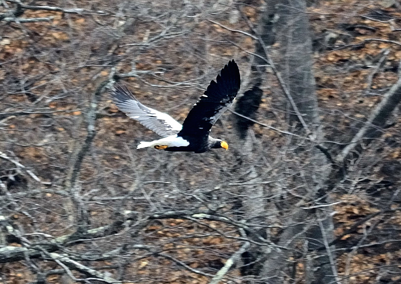d0127815_16481210.jpg