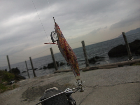 a0279321_18552338.jpg