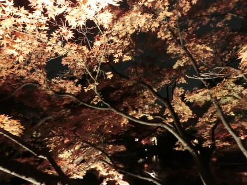 e0179321_21454565.jpg
