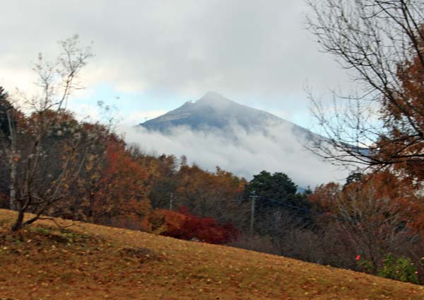 f0147025_203469.jpg
