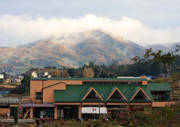 f0147025_2051738.jpg