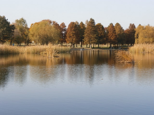 a0214329_1744556.jpg