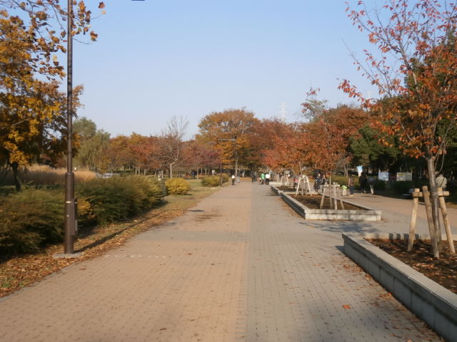 a0214329_1747560.jpg