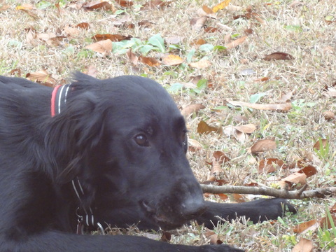 c0240829_17155423.jpg