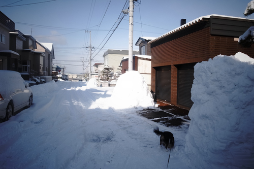 c0051132_2225876.jpg