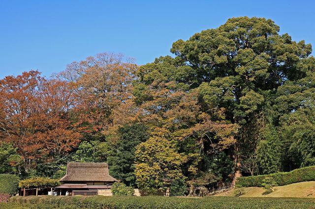 a0242438_17433427.jpg