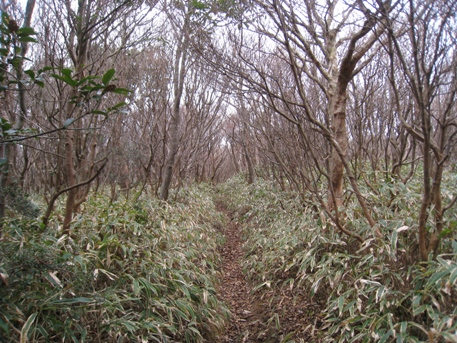 c0077338_1921346.jpg