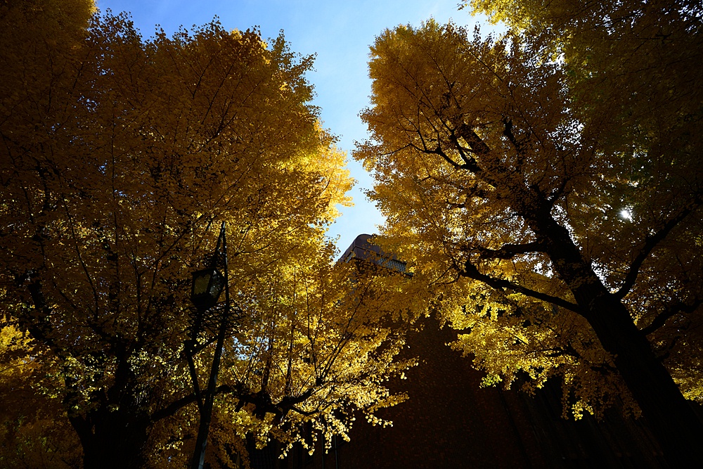 c0221838_2247749.jpg