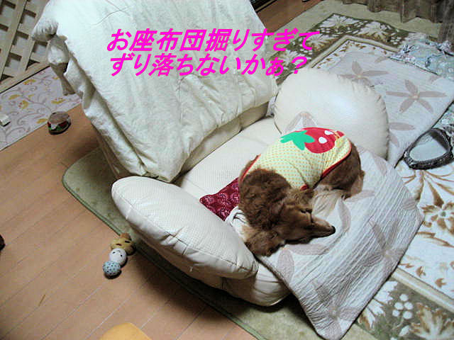 a0149240_9372481.jpg