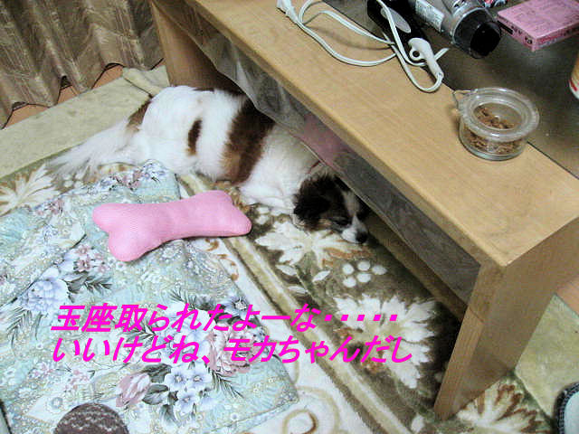 a0149240_9374353.jpg