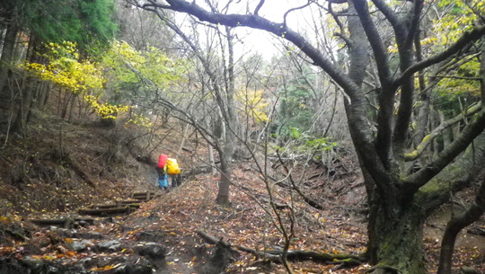 c0042847_11381681.jpg