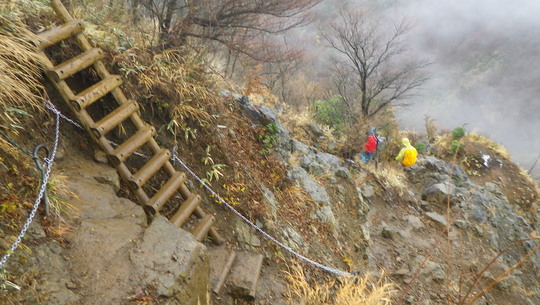 c0042847_1145241.jpg