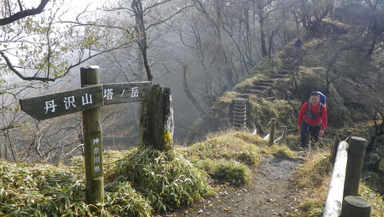 c0042847_11521517.jpg