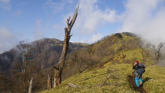 c0042847_11533976.jpg