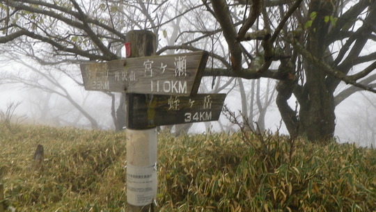 c0042847_11572727.jpg