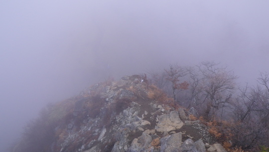 c0042847_11582641.jpg