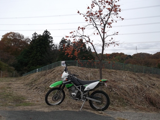 a0237349_15343878.jpg