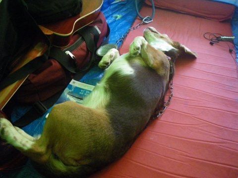 f0046250_14223364.jpg