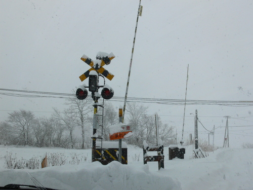 f0027355_21502843.jpg