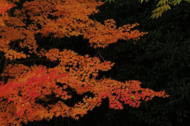 b0242358_23595053.jpg