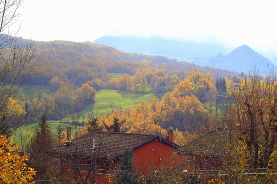f0077159_20303047.jpg