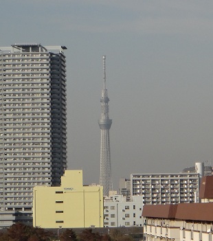 a0089865_22515075.jpg