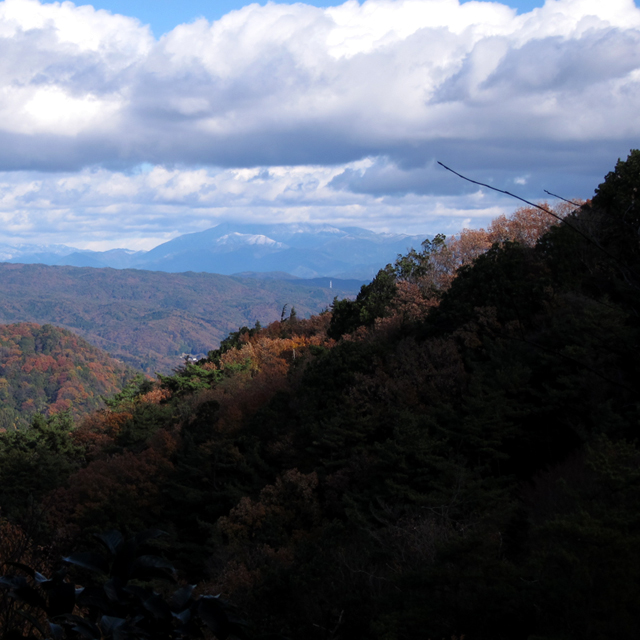 f0202271_0143931.jpg