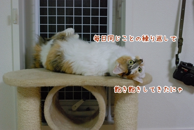 a0266372_050627.jpg