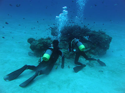 b0033573_23295991.jpg
