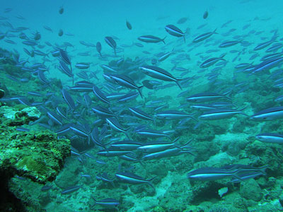 b0033573_23373539.jpg