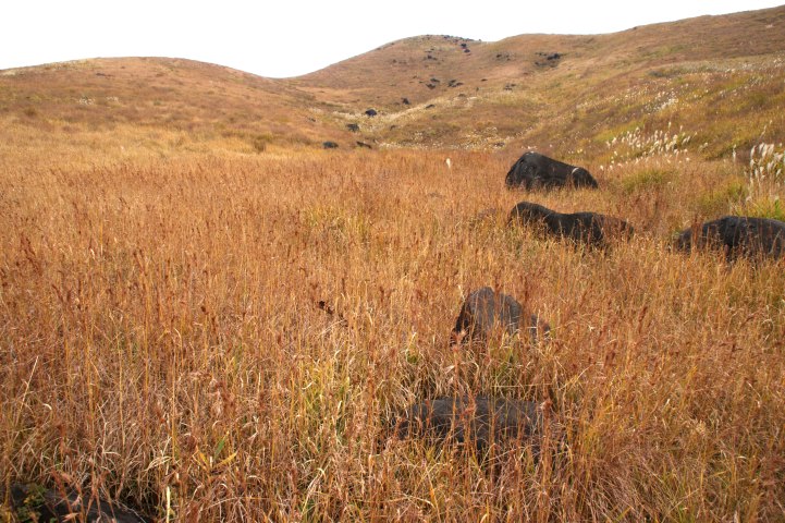 c0248473_1123213.jpg