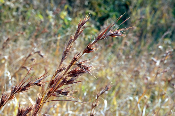c0248473_112959.jpg