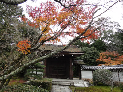 d0182075_18595540.jpg