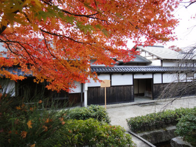 d0182075_521496.jpg