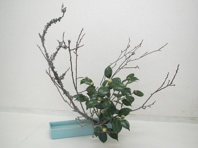 d0073487_10205320.jpg