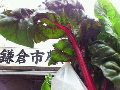 f0202990_21304734.jpg