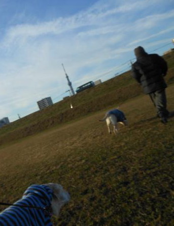 c0028792_2383456.jpg
