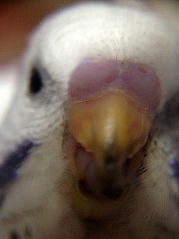 d0131293_14513848.jpg