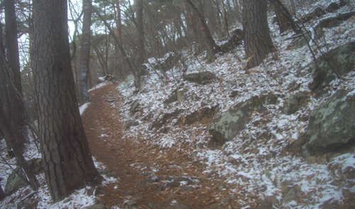 b0099994_15533595.jpg