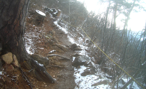 b0099994_15544852.jpg