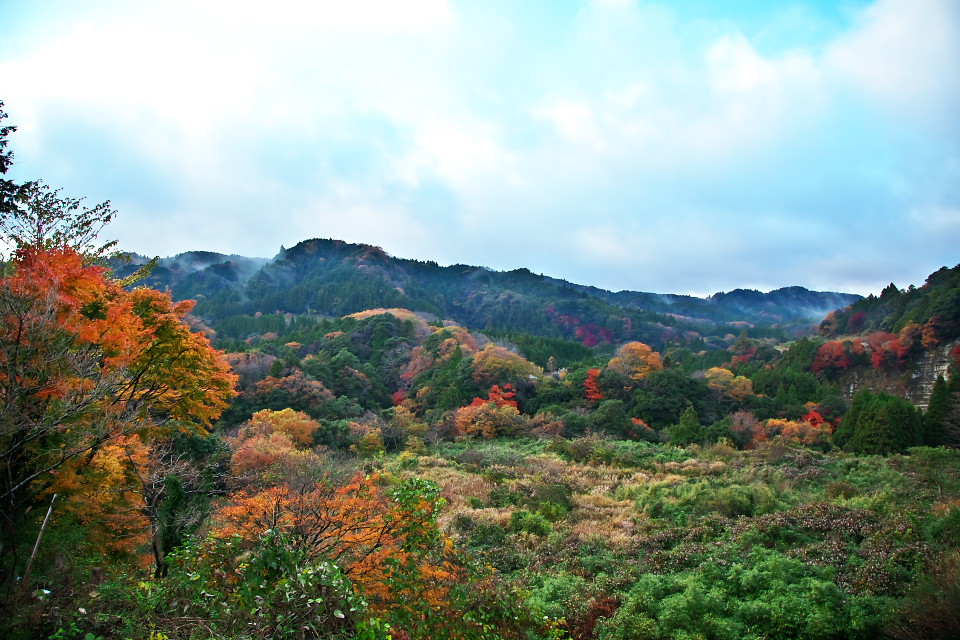 d0248494_186365.jpg
