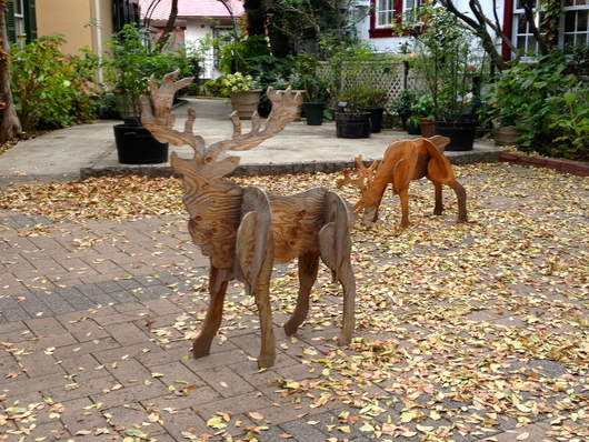 e0007801_0445978.jpg