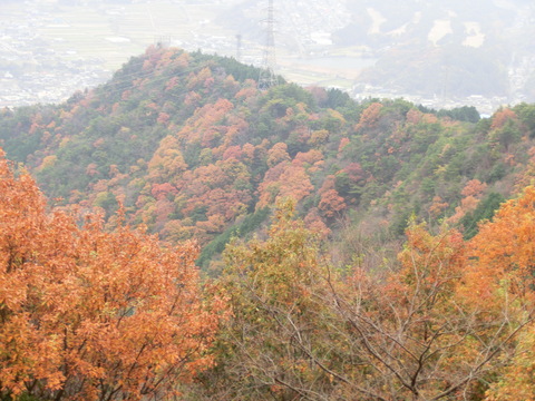 b0239909_21491457.jpg